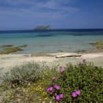 Playas de Córcega