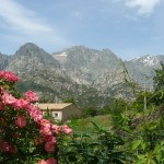Albergues y hostales en Córcega