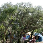 Campings en Córcega